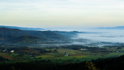 Fototapeta premium Landscape of a rural village on the mountainside in the morning with a sea of ​​fog covering it.