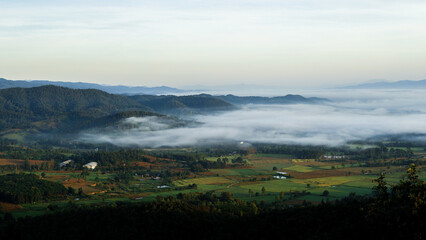 Fototapeta premium Landscape of a rural village on the mountainside in the morning with a sea of ​​fog covering it.