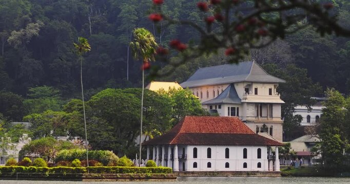 Beautiful view of Sri Dalada Maligawa, the Temple of the Sacred Tooth, framed by red blossoms in Kandy, Sri Lanka. This footage highlights the serene beauty and cultural significance of this historic