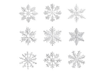 Fototapeta premium Photo of collection of snowflakes .Transparent background. Isolated PNG.