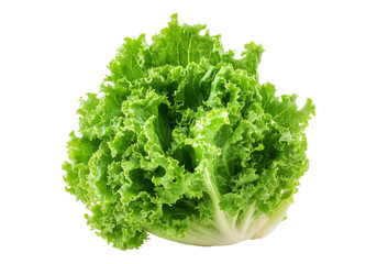 Photo of fresh lettuce .Transparent background. Isolated PNG.
