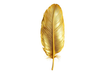 Photo of golden feather .Transparent background. Isolated PNG.