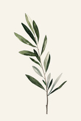 Fototapeta premium Elegant Green Olive Branch on Soft Beige Background - Perfect for Minimalist Home Decor or Nature-Inspired Designs