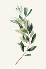 Fototapeta premium Elegant Watercolor Olive Branch Illustration on Soft Background, Perfect for Nature-Inspired Designs, Eco-Friendly Themes, and Minimalist Decor.