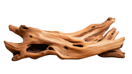 Driftwood sculpture, unique shape, natural texture, artistic display, isolated on transparent background..