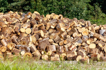 A pile of wood logs is stacked in a field