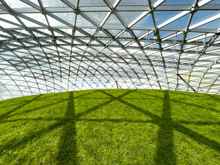 Fototapeta premium Green lawn under the dome
