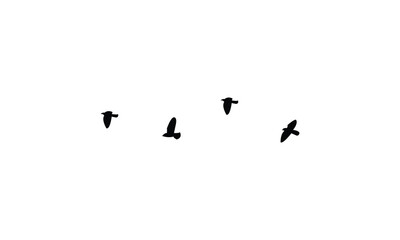 Flying birds silhouettes And Vector illustration.