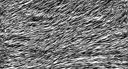 Abstract black and white textured background design.