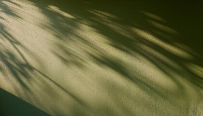 Sunlit Palm Shadows on Textured Olive Green Wall. Subtle Tropical Background, Ideal for Nature Inspired Designs, Zen Decor, Mood Boards, or Minimalistic Social Media Posts