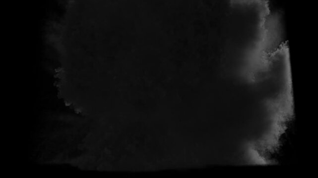 Large explosion on transparent background
3d rendering of fire explosion simulation with alpha channel (transparent background)
