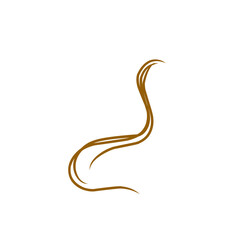 illustration of strands of hair