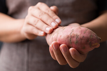 Raw organic Japanese sweet potatoes holding by hand