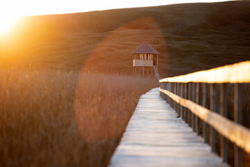 Old wooden boardwalk with a railing on the side and watchtower in the Sic reed reservation, Cluj ,...