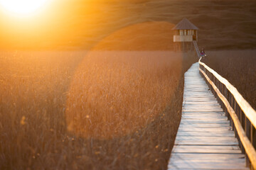Old wooden boardwalk with a railing on the side and watchtower in the Sic reed reservation, Cluj ,...