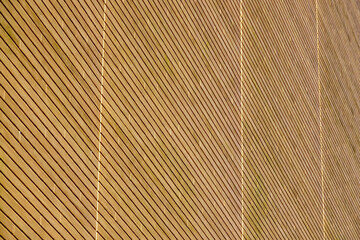 Fototapeta premium 学校の校舎の壁