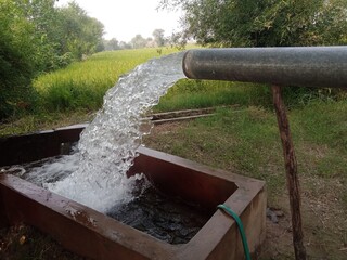 water flowing from a pipe, water pump watering fields, a beautiful view of water flowing from tube well, nurturing plants and crops 