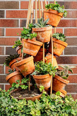 Clay flowerpots and potted plants. Gardening and horticulture