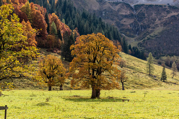 Goldener Herbst in den Bergen 