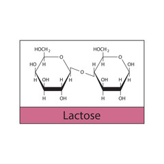 Lactose skeletal structure diagram.Disaccharide compound molecule scientific illustration.