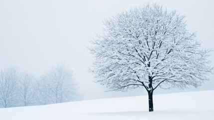 Fototapeta premium A solitary tree surrounded by a snow-covered landscape, evoking a serene winter atmosphere under soft white skies.