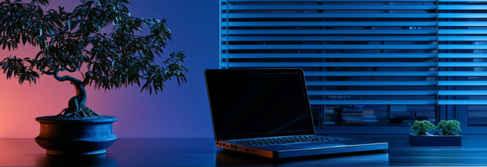Futuristic, dark black desk featuring a chrome-colored laptop and a tiny bonsai tree.