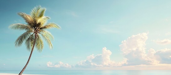 Summer at the beach featuring a palm tree against a blue sky with clouds including copy space Minimalist concept in pastel shades Blurred background