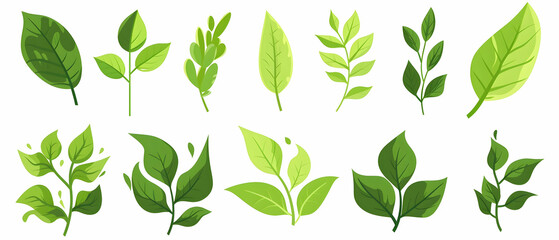 Set of simple vector icons for leaves, flat design, white background, green color, vector graphics,