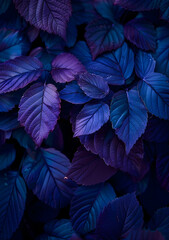 Dark background, dark purple and blue foliage, digital art style, dark green plants 