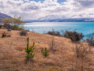 Lake Pukaki View New Zealand