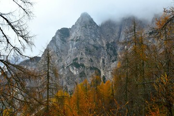 Mountain peak at Vršič in Julian alps, Gorenjska, Slovenia with autumn orange colored larch trees...