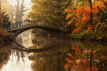 Jesień w parku w Pszczynie, Śląsk  Polska  © Elżbieta Kaps