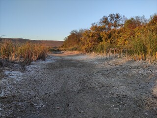 Dried up swamp with mountains in the background
