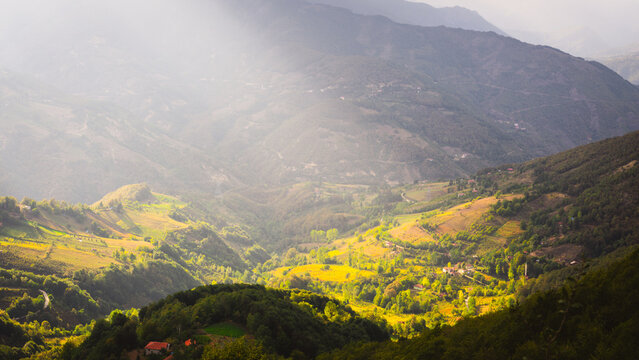 Forested valley under cloudy sky, Erbaa, Tokat, Turkey
