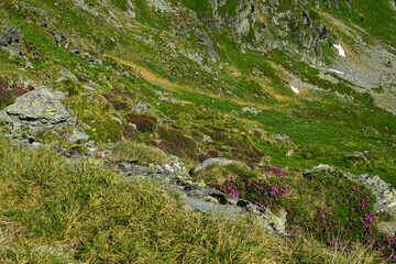 beautiful mountains in the top 
