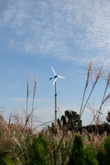 Beautiful sunset photo of the wind turbine with reed grass at Haneul Park (Sky Park) in Seoul, South Korea