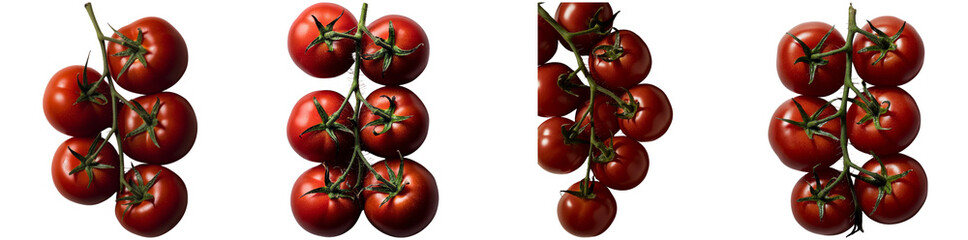 Juicy red tomatoes hang in clusters on their vine, displaying a rich color and plump texture, ideal for salads, sauces, and cooking. A fresh and healthy ingredient isolated PNG isolated PNG