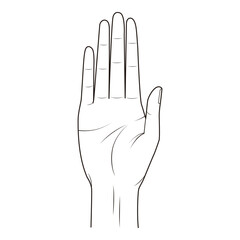 Detailed Open Palm Hand Outline Vector

