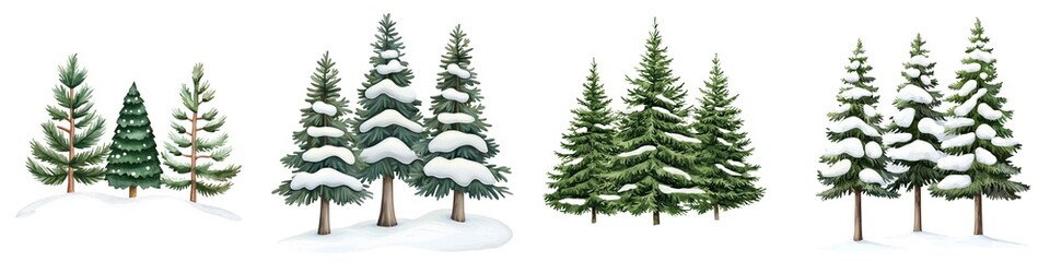 Fototapeta premium Evergreen trees with snow, winter landscape, white isolated background.