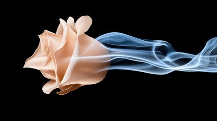 Fototapeta premium Abstract Rose with Smoke Trails on Black Background