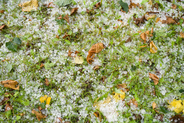 grass covered with hailstones after hailstorm