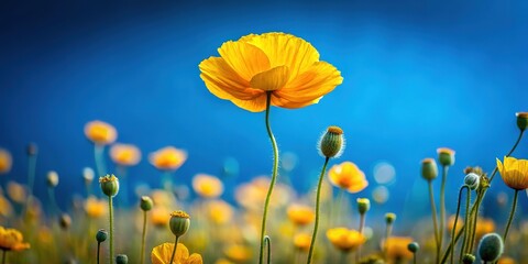 Obraz premium Double exposure art: Blue sky meets vibrant yellow flowers.