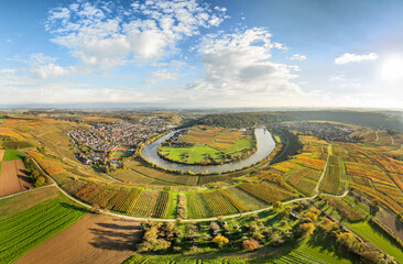 panoramic aerial view of the river loop in Autumn colors in the  Neckar Valley  with its famous steep vineyards next to Mundelsheim and Hessigheim in Baden-Wuerttemberg , Germany