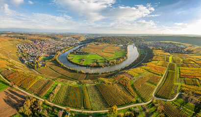 panoramic aerial view of the river loop in Autumn colors in the  Neckar Valley  with its famous steep vineyards next to Mundelsheim and Hessigheim in Baden-Wuerttemberg , Germany