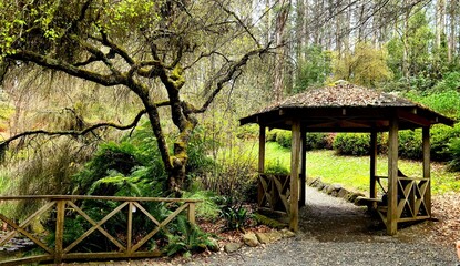 Old pond and rustic hut in parkland