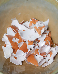 Broken egg shells ,Recycling kitchen waste, Crushed egg shells for the compost and garden