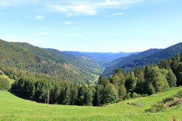 Fototapeta premium Landscape view at the Route des Cretes in Alsace, Vosges, France in summer