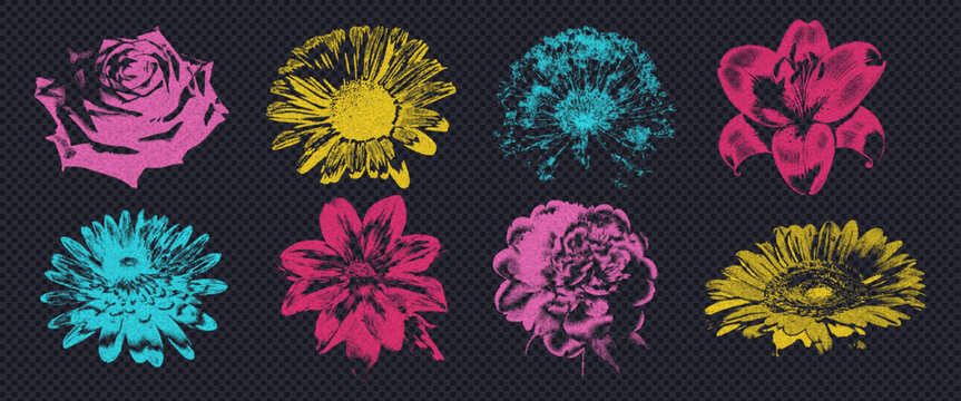Vintage elements in the form of disassembled chamomile, acacia, dandelion, retro style photocopies. The effect of grain and dotted lines in bright colors on an isolated background. Vector design.