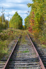 Obraz premium An abandoned railroad track in the autumn colors