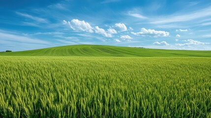 Aerial view of regenerative farm layout, mixed crops, sustainable techniques, green land